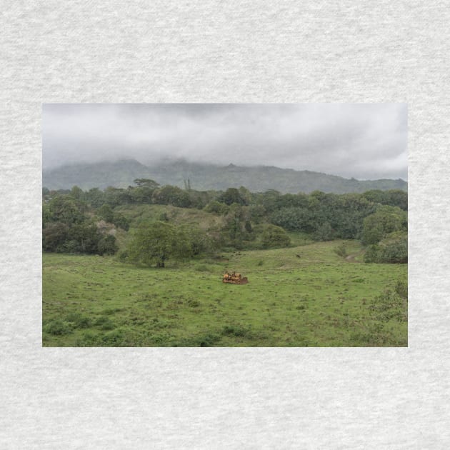 Scenic inner Kauai rural scene, Hawaii by AlexK